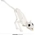 Karnevalový doplněk Fiestas Guirca Kostra kočky bílá 48 cm
