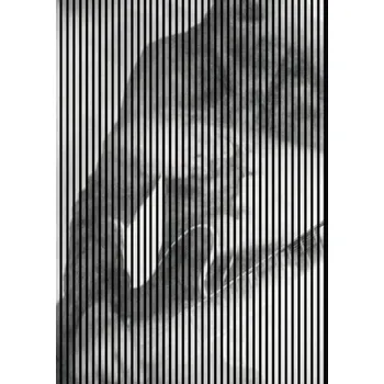 akustický panel Designový akustický panel DIGI03U 19x1693x2400 mm