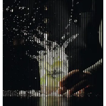 akustický panel Designový akustický panel DIGI03H 19x2253x2400 mm