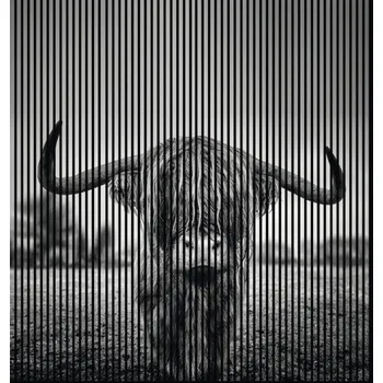 akustický panel Designový akustický panel DIGI04J 19x2253x2400 mm