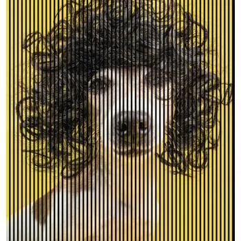 akustický panel Designový akustický panel DIGI04N 19x2253x2400 mm