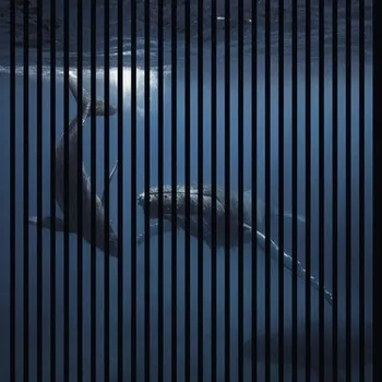 akustický panel Designový akustický panel DIGI04G 19x1133x1195 mm