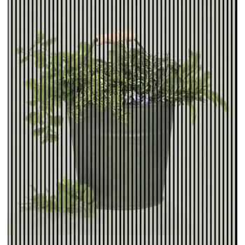 akustický panel Designový akustický panel DIGI05N 2253x19x2400 mm