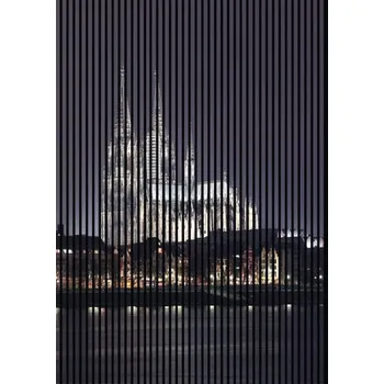 Paraván Designový akustický panel DIGI02Z 19x1693x2400 mm