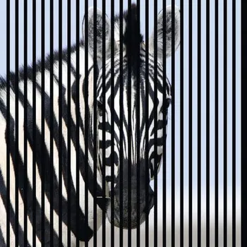 akustický panel Designový akustický panel DIGI04E 19x1133x1195 mm