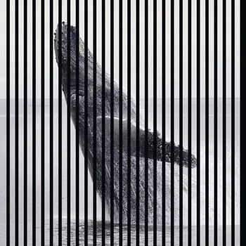 akustický panel Designový akustický panel DIGI04H 19x1133x1195 mm