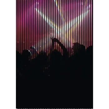 akustický panel Designový akustický panel DIGI03Z 19x1693x2400 mm