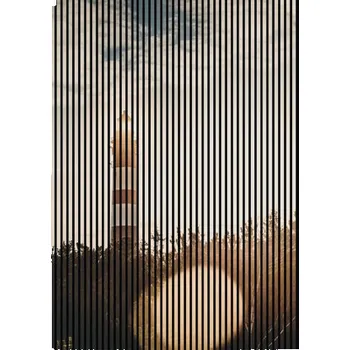 akustický panel Designový akustický panel DIGI01M 19x1693x2400 mm