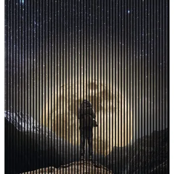 akustický panel Designový akustický panel DIGI01P 19x2253x2400 mm