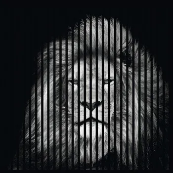 akustický panel Designový akustický panel DIGI04I 19x1133x1195 mm