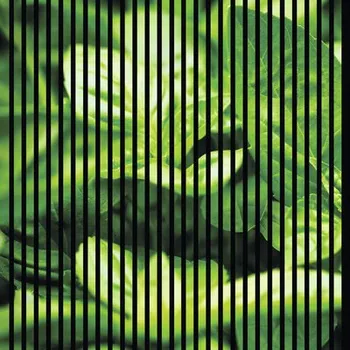 akustický panel Designový akustický panel DIGI01R 19x1133x1195 mm