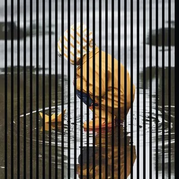 akustický panel Designový akustický panel DIGI03J 19x1133x1195 mm