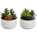 Umělé rostliny v sadě 2 ks (výška 19 cm) Cactus – Casa Selección ID_1640390