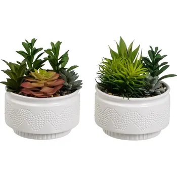 Květináč Umělé rostliny v sadě 2 ks (výška 19 cm) Cactus – Casa Selección ID_1640390