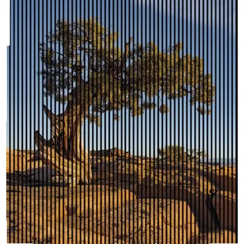 akustický panel Designový akustický panel DIGI01I 19x2253x2400 mm