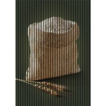 akustický panel Designový akustický panel DIGI05U 1693x19x2400 mm