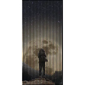 akustický panel Designový akustický panel DIGI01P 19x1133x2400 mm