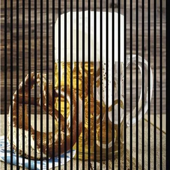 akustický panel Designový akustický panel DIGI05K 1133x19x1195 mm