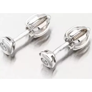 Náušnice Náušnice bílé zlato 585 zirkon DZF3670-B-ZIR