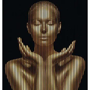 akustický panel Designový akustický panel DIGI03M 19x2253x2400 mm