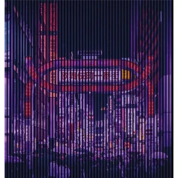 akustický panel Designový akustický panel DIGI06L 2253x19x2400mm