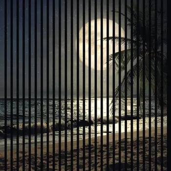 akustický panel Designový akustický panel DIGI01Q 19x1133x1195 mm