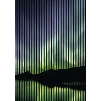 akustický panel Designový akustický panel DIGI05F 1693x19x2400 mm