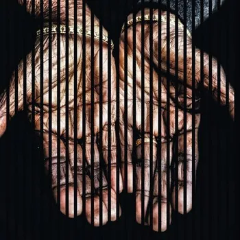 akustický panel Designový akustický panel DIGI03I 19x1133x1195 mm