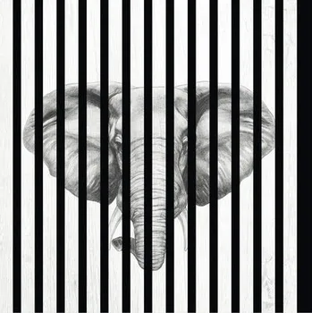 akustický panel Designový akustický panel DIGI04B 19x572,5x572,5 mm