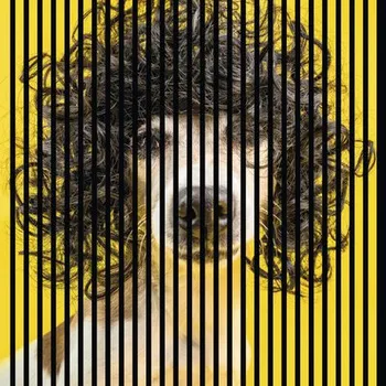 akustický panel Designový akustický panel DIGI04N 19x1133x1195 mm