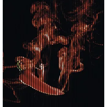 akustický panel Designový akustický panel DIGI01W 19x2253x2400 mm