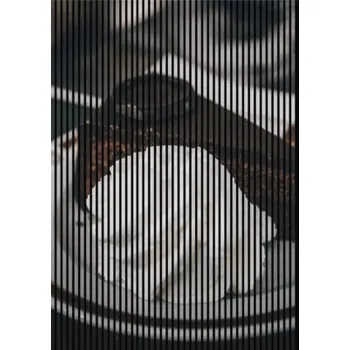 akustický panel Designový akustický panel DIGI05Y 1693x19x2400 mm