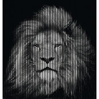 akustický panel Designový akustický panel DIGI04I 19x2253x2400 mm