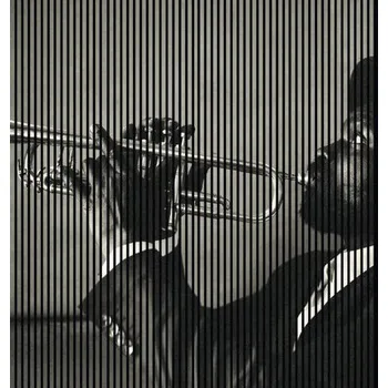 akustický panel Designový akustický panel DIGI03P 19x2253x2400 mm