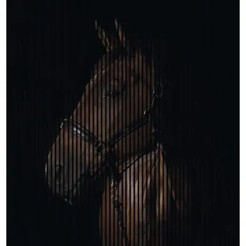 akustický panel Designový akustický panel DIGI04D 19x2253x2400 mm