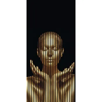 akustický panel Designový akustický panel DIGI03M 19x1133x2400 mm