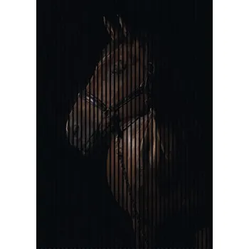 akustický panel Designový akustický panel DIGI04D 19x1693x2400 mm