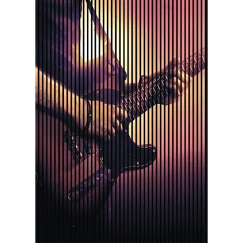 akustický panel Designový akustický panel DIGI03T 19x1693x2400 mm