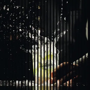 akustický panel Designový akustický panel DIGI03H 19x1133x1195 mm