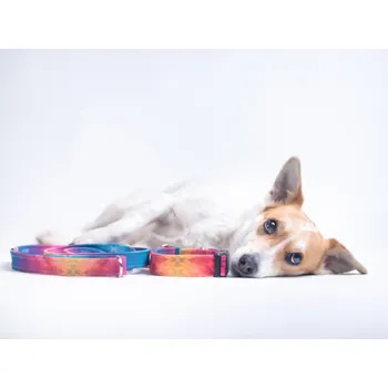 Vodítko pro psa Sweet vodítko No. 1 Šířka: velké, Vzhled: Standard
