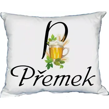 Dekorativní polštářek Polštář s pánským jménem PŘEMEK Světle zelený (polštář se jménem PŘEMEK)
