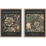 Obrazy v sadě 2 ks 30x40 cm Morris – Styler ID_1688832