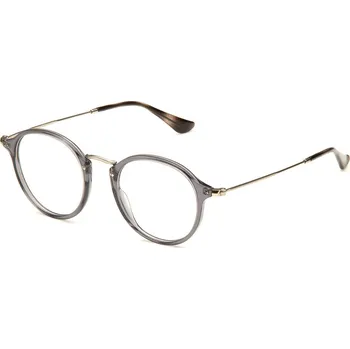 Ray Ban | Ray Ban 2447V 49 | šedá