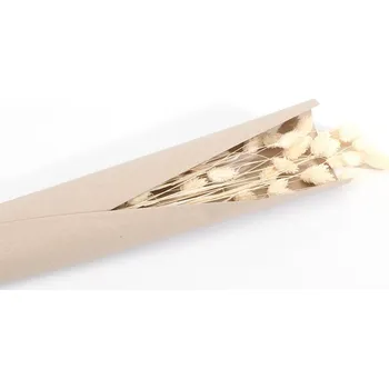 umělá květina Chaks Svazek trávy - Chrastnice Phalaris přírodní bílá 64 cm