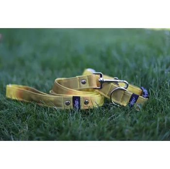 Vodítko pro psa Sweet vodítko Bumblebee Šířka: velké, Vzhled: Standard