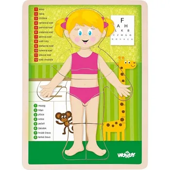 Puzzle "Lidské tělo" - Holka SK