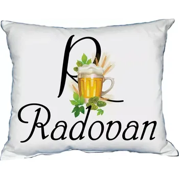 Dekorativní polštářek Polštář s pánským jménem RADOVAN Světle zelený (polštář se jménem RADOVAN )