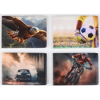 Obal na doklad Pouzdro na průkazy, klučičí, 6 listů, horizontální, PVC