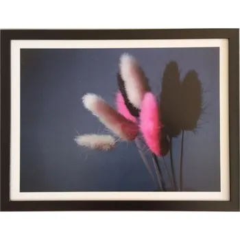 Obraz Bondecor Obraz tisk v rámu, plexi sklo, 33x43 cm, Tráva color