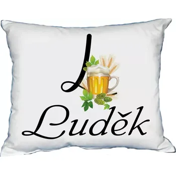 Dekorativní polštářek Polštář s pánským jménem LUDĚK Bílý (polštář se jménem LUDĚK)